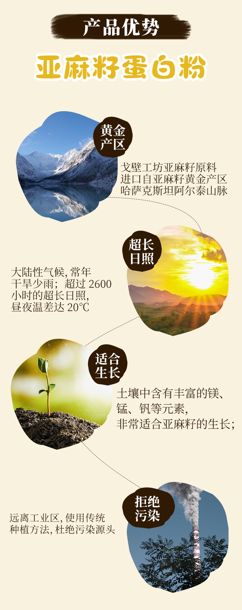 亚麻籽蛋白粉_02.jpg